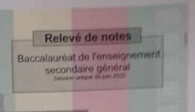 Relevé de notes du baccalauréat de l'enseignement secondaire général session unique 2022 partiellement visible sur fond tricolore rouge blanc bleu