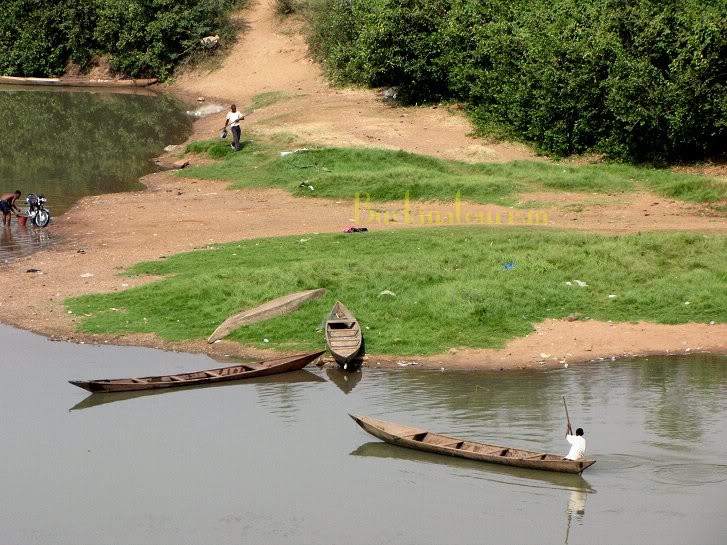 Bateaux en bois sur un cours d'eau près d'une rive herbeuse bordée d'arbres avec des personnes sur la berge et dans l'eau