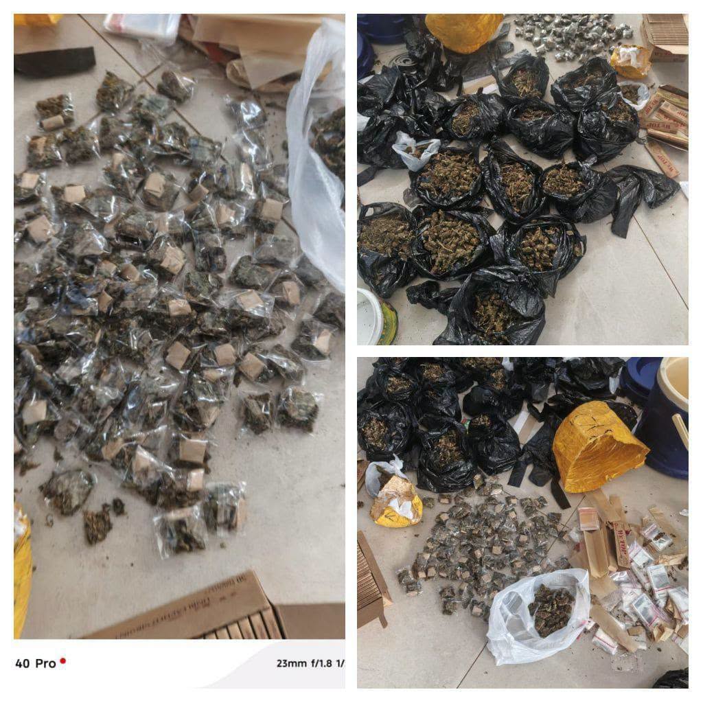 Plusieurs sachets en plastique contenant une substance végétale sèche disposés sur un sol clair dans différents regroupements